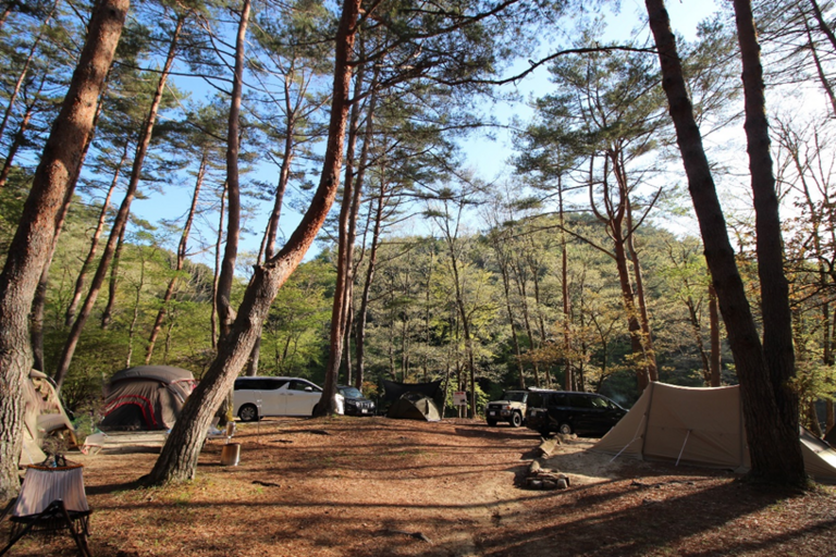 岩倉ダムキャンプ場